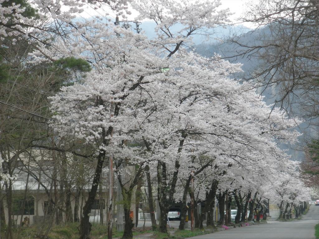 Holiday Cottage Green Valley 하쿠바 외부 사진